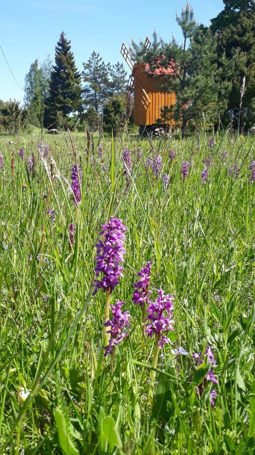 Sihi Country House Hiievalja Eksteriør bilde